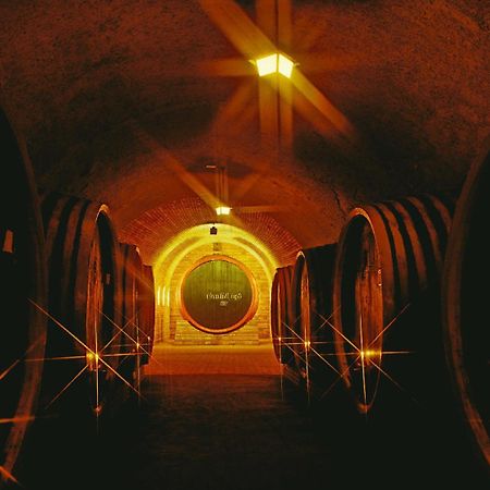 Grape&Wine Guesthouse Έγκερ Εξωτερικό φωτογραφία