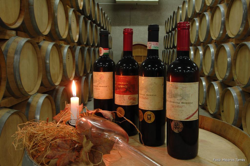 Grape&Wine Guesthouse Έγκερ Εξωτερικό φωτογραφία